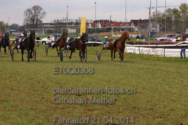 ET0Q0308 prot